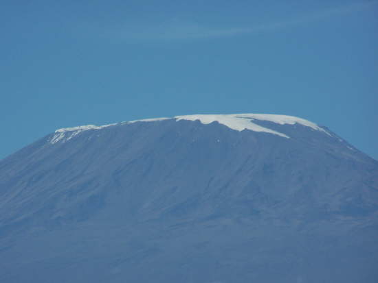 Kilimanjaro (Amboseli , June 2008)