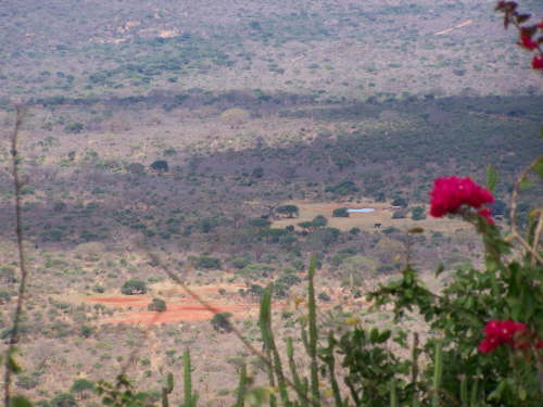 Rhino sanctuary view