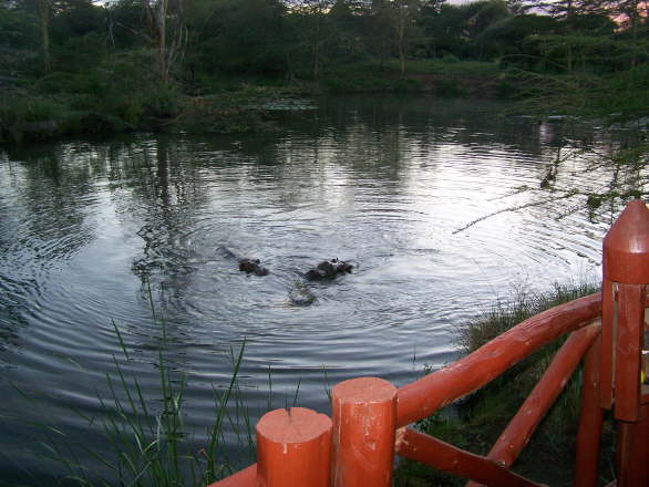 Kenya Dec 2009 221