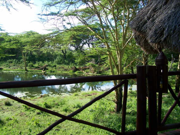Kenya Dec 2009 254