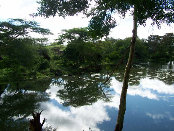 Kenya Dec 2009 272