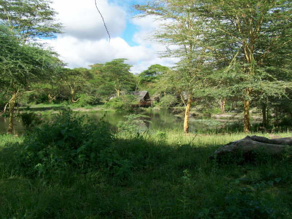 Kenya Dec 2009 277