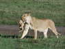 Kenya Dec 2009 764