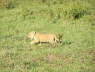 Kenya Dec 2009 766