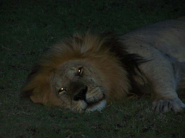 Kenya Dec 2009 821