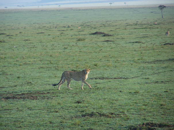 Kenya Dec 2009 833
